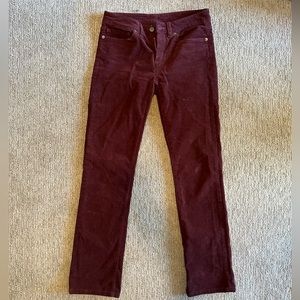 Patagonia purple corduroy pants women’s